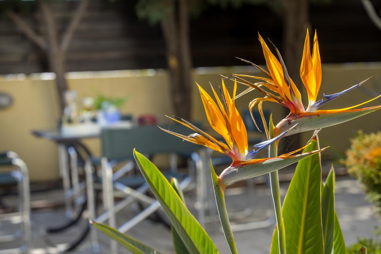 Ayia Napa Tropical Beach Villa Luaran gambar